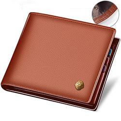 Standard Style-ish Leather Wallet